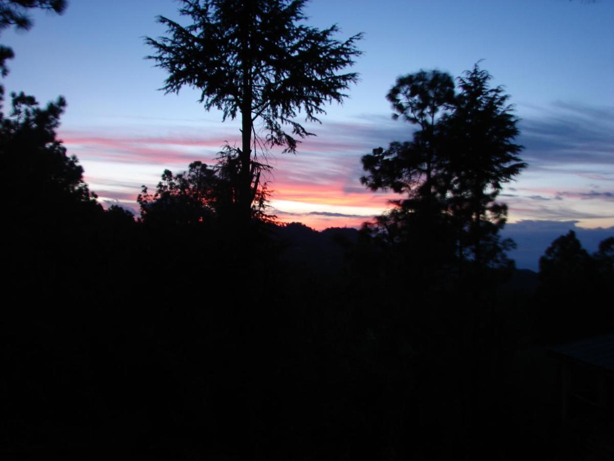 Elphinstone Inn Almora Extérieur photo
